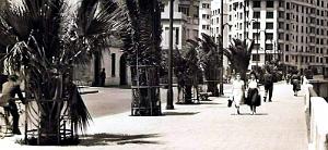 2554- Oran - Boulevard Front de Mer3